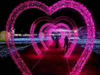 Starry Lighting Park