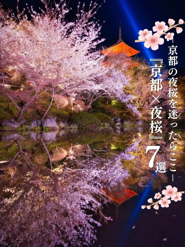 京都×夜桜 7選✨※一夜で回るルートプラン情報付 