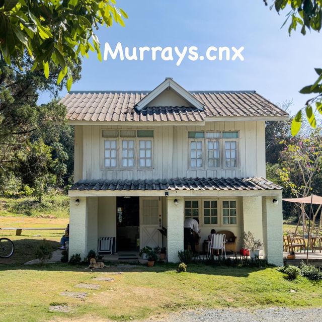 🏠 Murray’s Cnx    