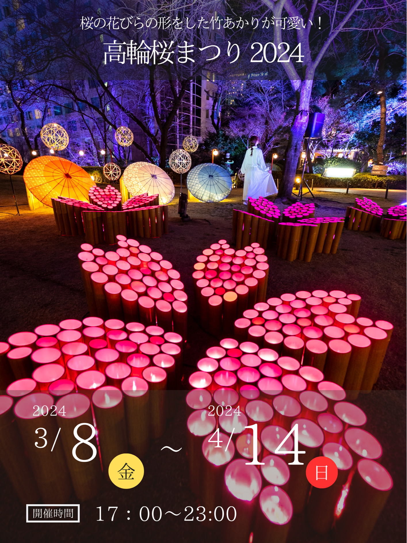 春の竹あかりイベント！🎋】竹あかりで作られた桜の花びらが可愛すぎる