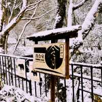 ศาลเจ้าคิฟุเนะ (Kifune Shrine )