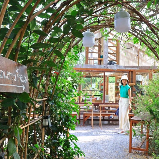 Pranberry หาร์มคาเฟ่สุดคิวท์แห่งปราณบุรี
