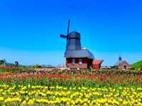 Kamiyubetsu Tulip Park