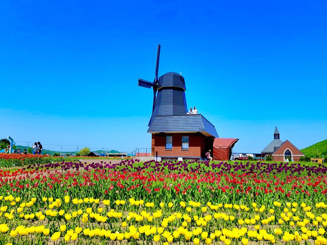 Kamiyubetsu Tulip Park