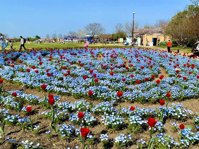 Kiso Sansen Park Center