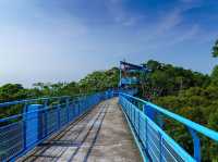 The Stunning Skywalk in Tongluo