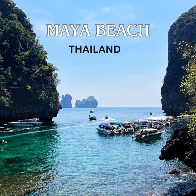 Discover the Magic of Maya Bay Beach