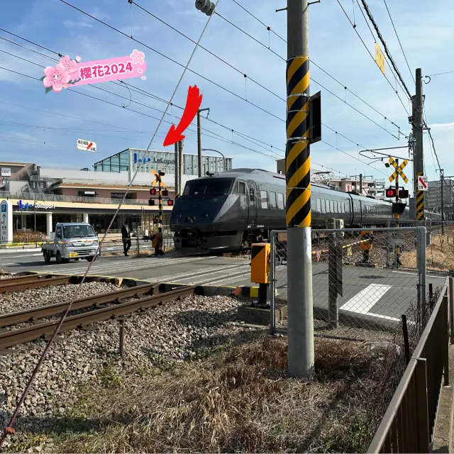 【福岡】不要坐車🚗 / 🚌，走路去Lalaport會有更好的美景🌸🌸‼️