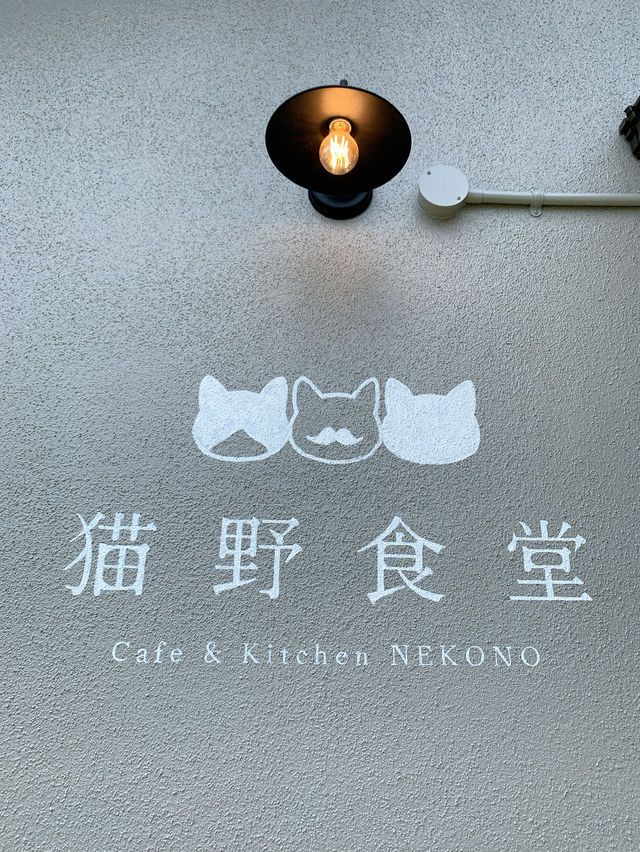 【佐賀カフェ】猫好きさんにはたまらない？可愛いがあちこちにあるお店🐾