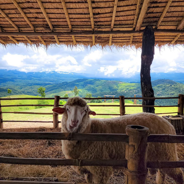 Akha Farmville 