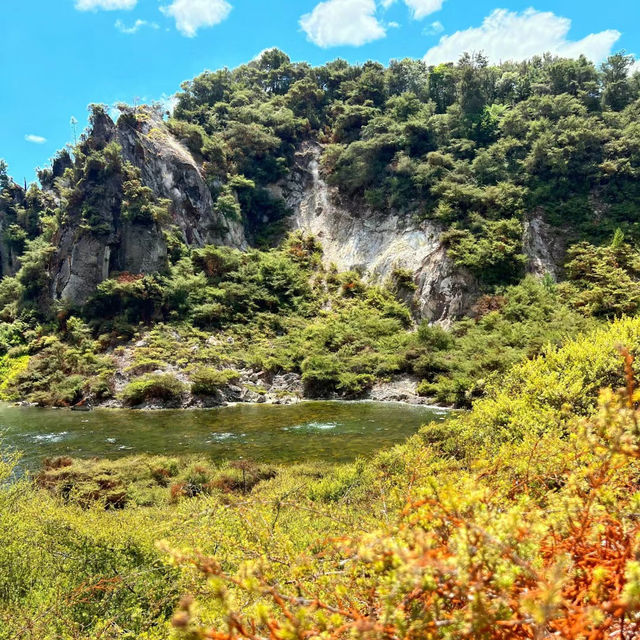托定咸濕地：大自然寶地