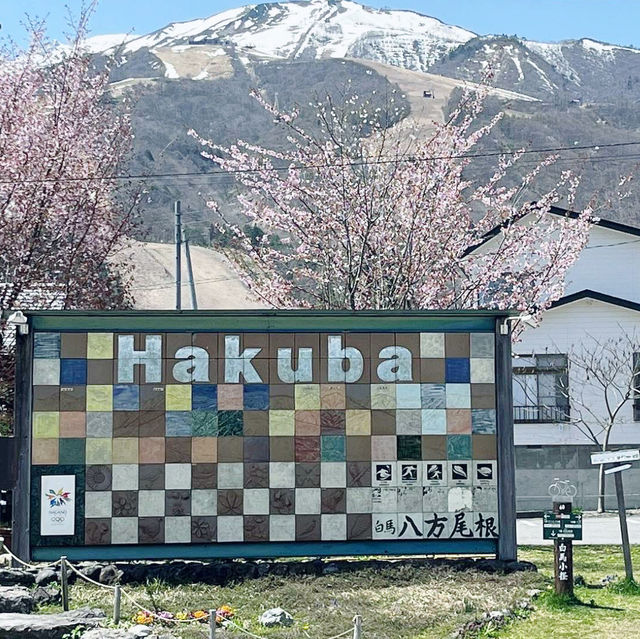 Wadano Gateway Hotel Hakuba @ Nagano 🇯🇵