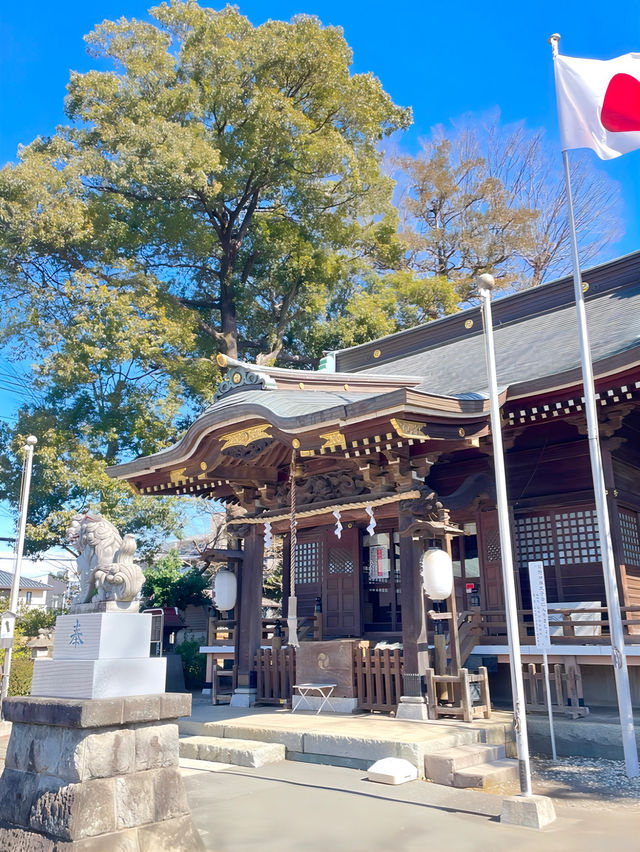 【熊野神社（恋ヶ窪）/東京都】何度も再建され今に続く
