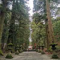อาบป่า ณ ศาลเจ้า Fuji sengen shrine