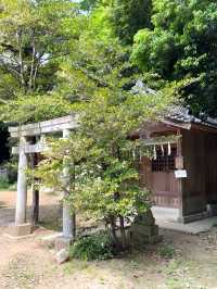 【玉敷神社/東京都】緑豊かな社叢に囲まれる