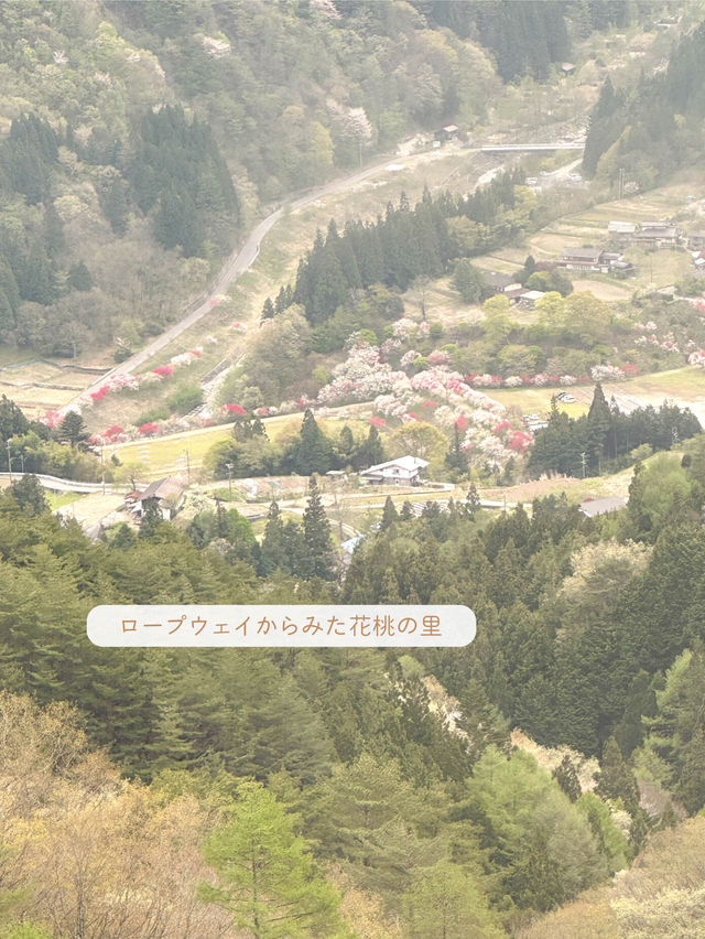 【長野】一度は絶対行きたい日本一の桃源郷