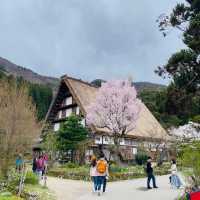 Shirakawa-go 🌸หมู่บ้านแห่งความสุข 🏡