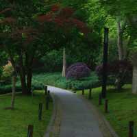 湊山公園：春天好去處，感受日式風韻