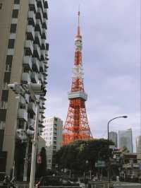 隨風漫步，京都與東京的詩意生活