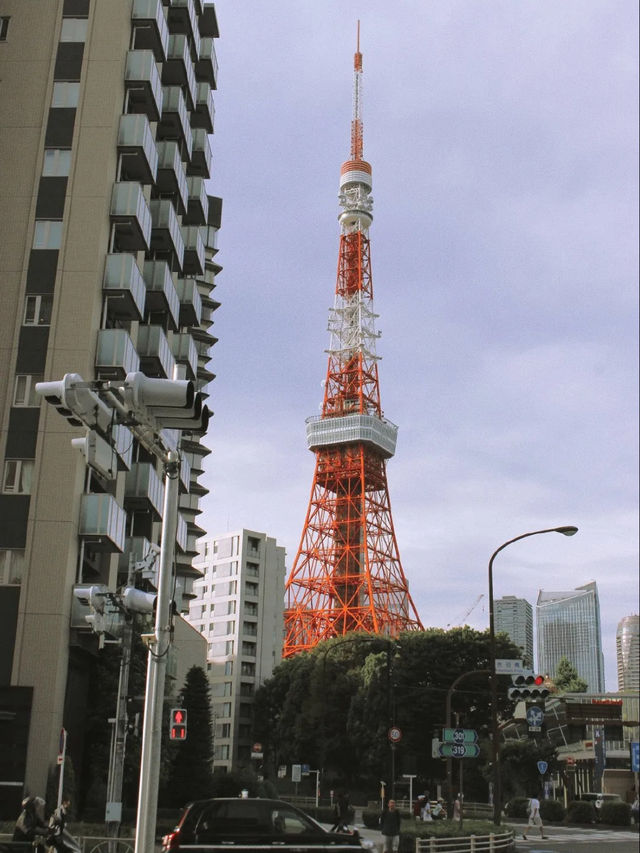隨風漫步，京都與東京的詩意生活