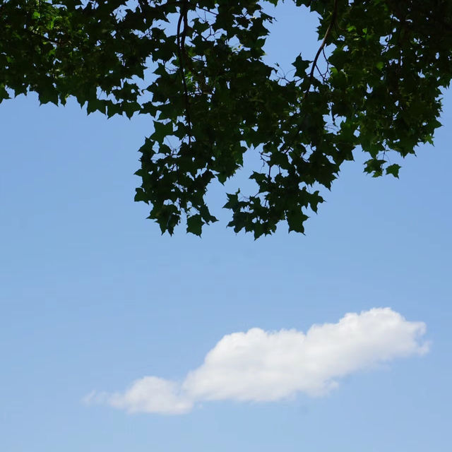 「谷中公園：歷史與自然之美，適合放鬆和沉思的春天好去處」