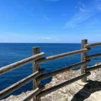 大房岬：絕美海景，悠閒海濱
