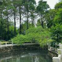 【臺北景點】春光公園：中式園林之美，亭台樓閣環抱下的典雅寧謐休憩之地