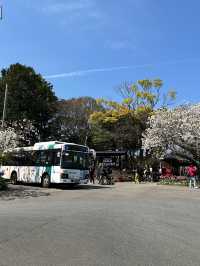 福岡後花園～終於見到油菜花田
