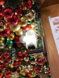 🫧 부산에서 제일 먼저 크리스마스를 볼 수 있는 곳🎅🏻🎄