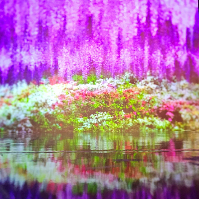 蜷川實花瞬間的永恆沉浸式藝術展