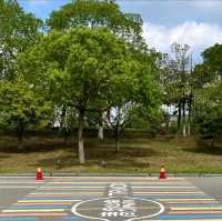 見晴懷古步道：驚艷自然景緻，遊客喜愛的高山步道