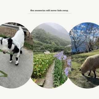 南牧場：原生態自然環境，深入感受島嶼魅力