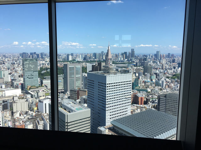 俯瞰東京：白天的展望台與夜晚的光影魅力