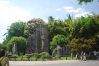 Stone Forest, The Wonder under the Heaven