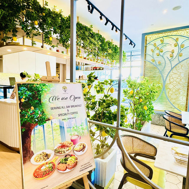 🍋 The Lemon Tree Cafe