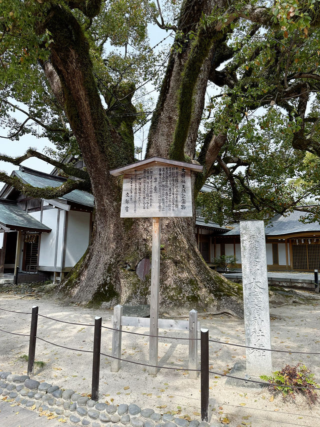 ✈️九州福岡必去景點太宰府天滿宮半日遊🤎