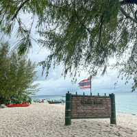 BAMBOO ISLAND 