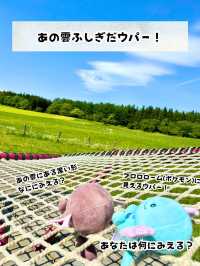 【岩手県】初夏の小岩井グルメ旅