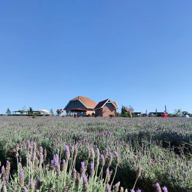 「巴雅英達濕地公園：原始自然～和諧共融」