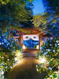 ここ知ってる？？【死ぬまでに見たい絶景】男鹿の紫陽花寺　雲昌寺🫧🫧