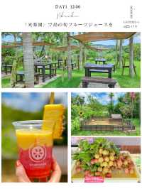 【沖縄・石垣島】石垣島旅日記　DAY1📒