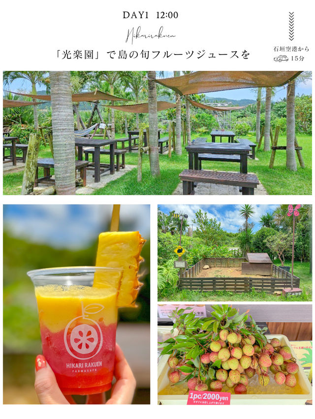【沖縄・石垣島】石垣島旅日記　DAY1📒