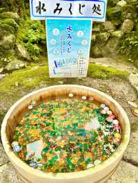 〜京都府〜混まない！初夏の夏詣におすすめ神社⛩️