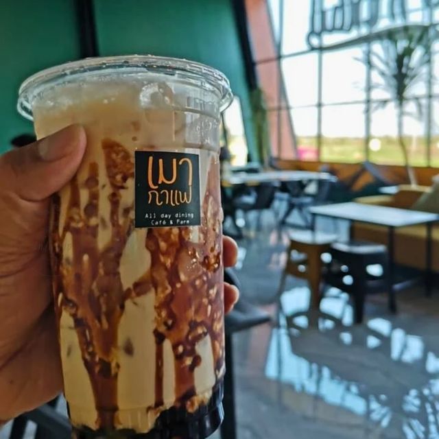 🍯เมากาแฟ คาเฟ่กลางทุ่งนา