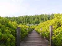 เที่ยวทุ่งโปร่งทอง ระยอง