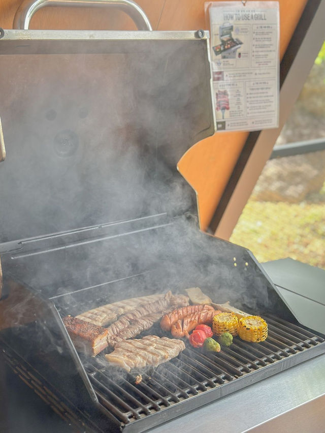 몸만 가면 되는 청주 애견동반 리버뷰 바베큐장🥩🤍