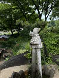 피톤치드 가득한 나무가 우거진 여름 숲 🌳한가운데 마음 공부, 사색할 수 있는 여름 여행지 추천 🍵