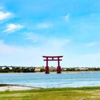 Shizuoka ที่ไม่ใช่ฟูจิ ไปไหนดี🤔