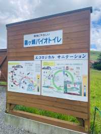 【長野県/諏訪市　夏でも涼しい霧ヶ峰に咲く黄色い花”ニッコウキスゲ”】