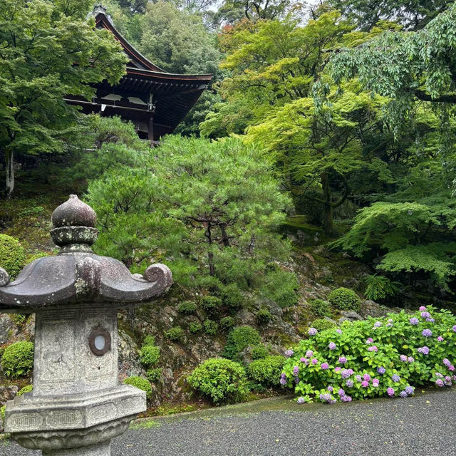 教尊寺：靜謐寺廟，平和與啟迪